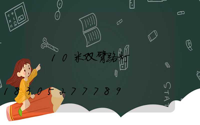 10米双臂路灯