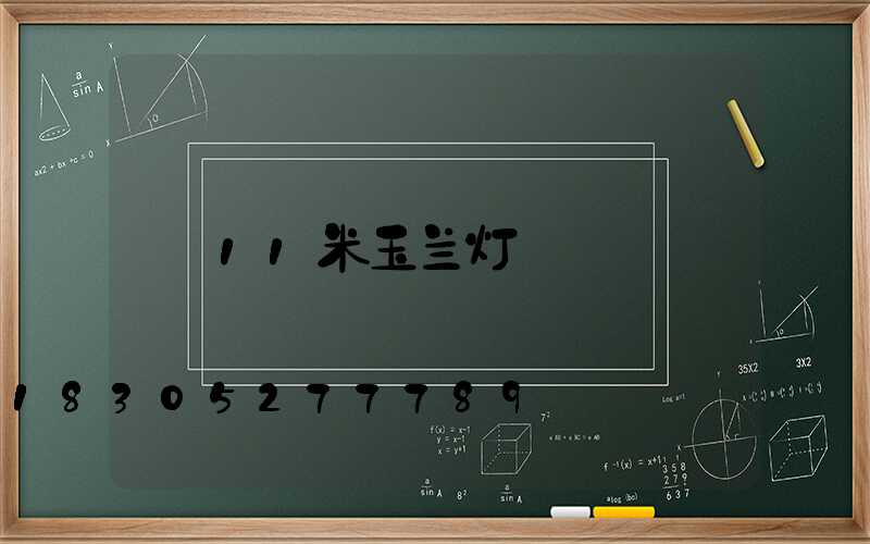 11米玉兰灯