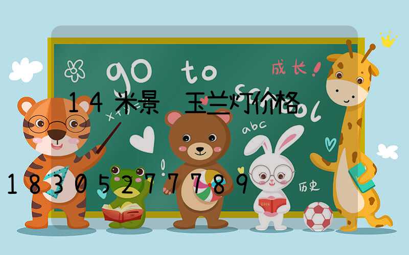 14米景观玉兰灯价格