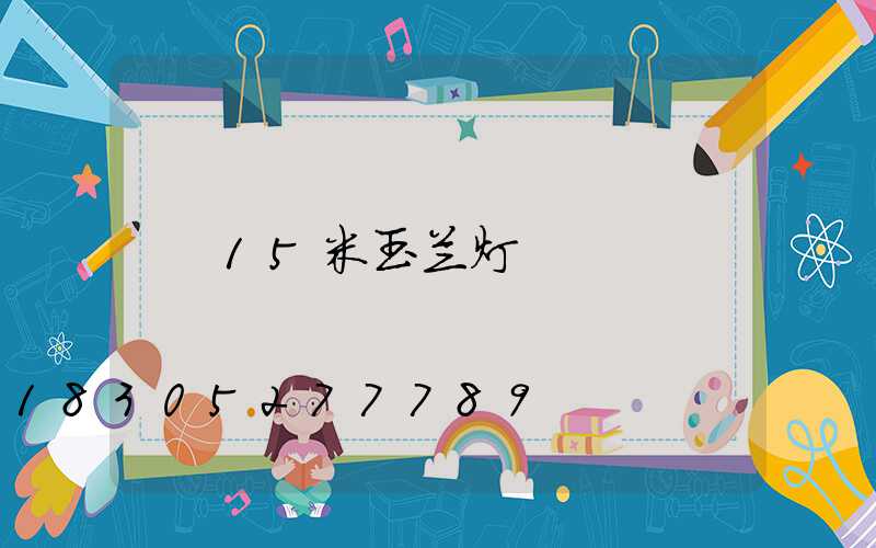 15米玉兰灯