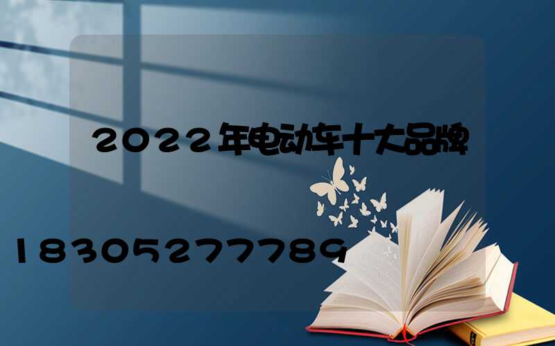 2022年电动车十大品牌