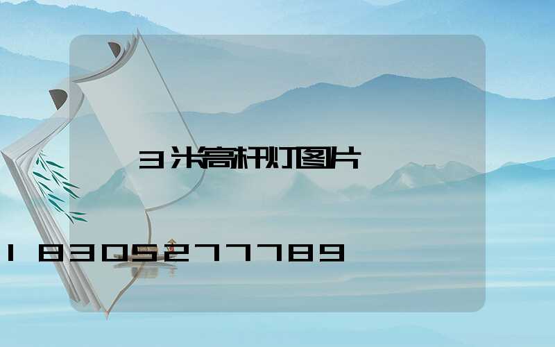 3米高杆灯图片