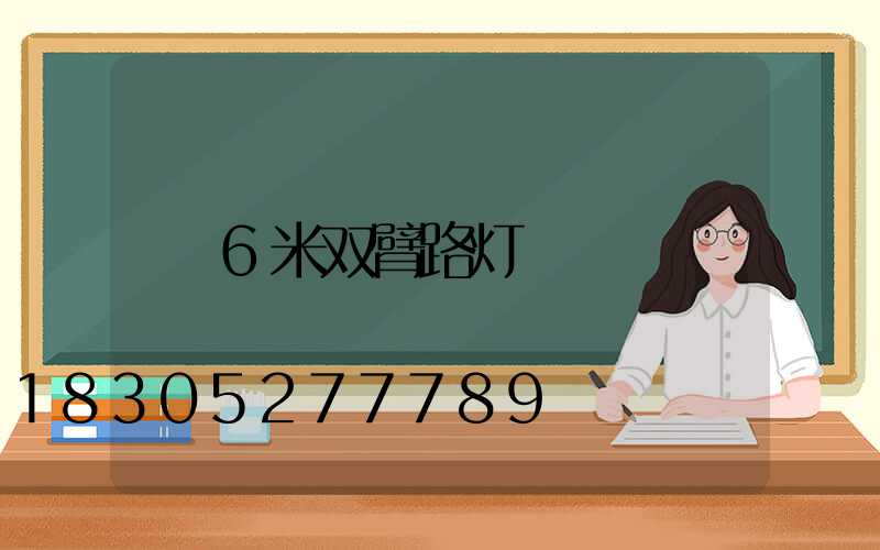 6米双臂路灯