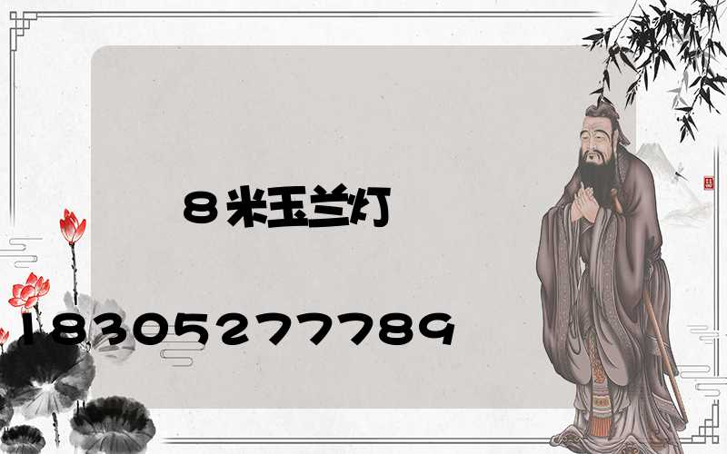 8米玉兰灯