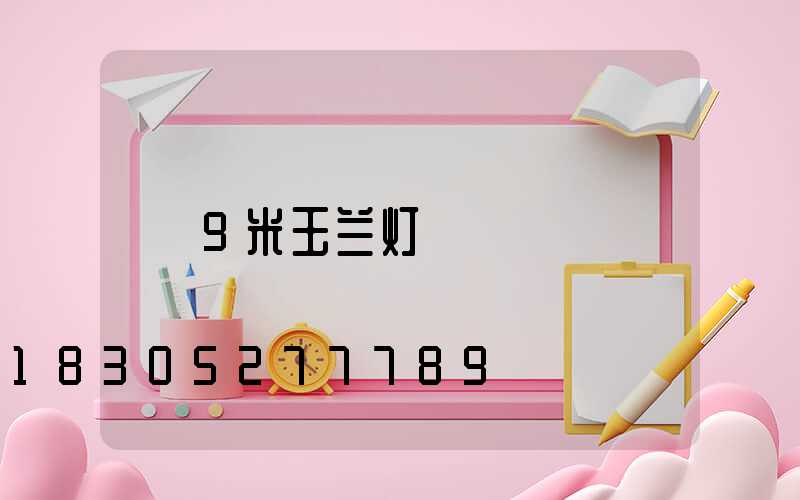 9米玉兰灯