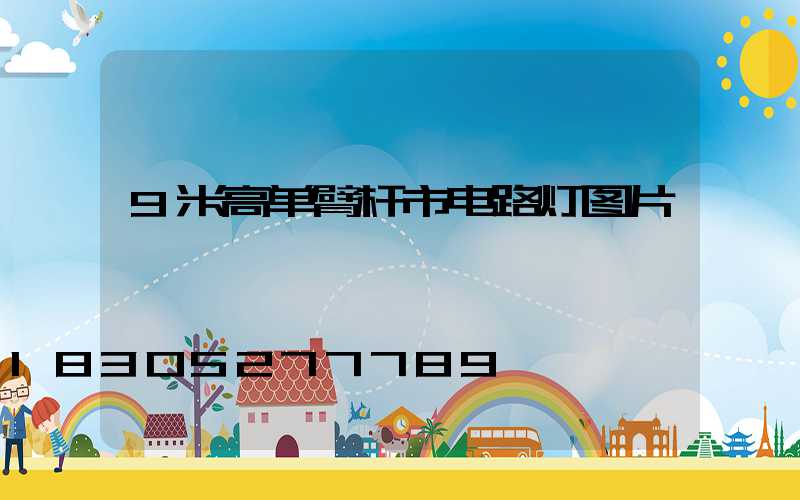 9米高单臂杆市电路灯图片
