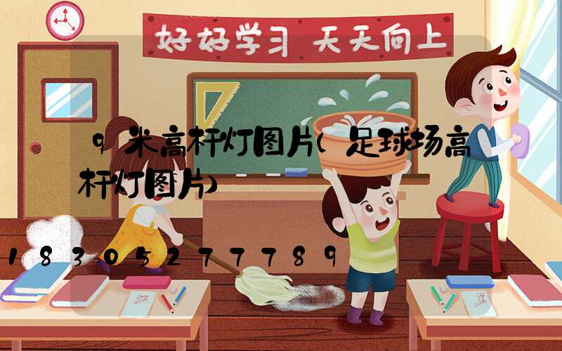 9米高杆灯图片(足球场高杆灯图片)