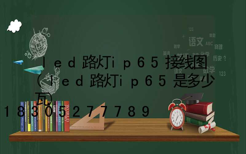 led路灯ip65接线图(led路灯ip65是多少瓦)