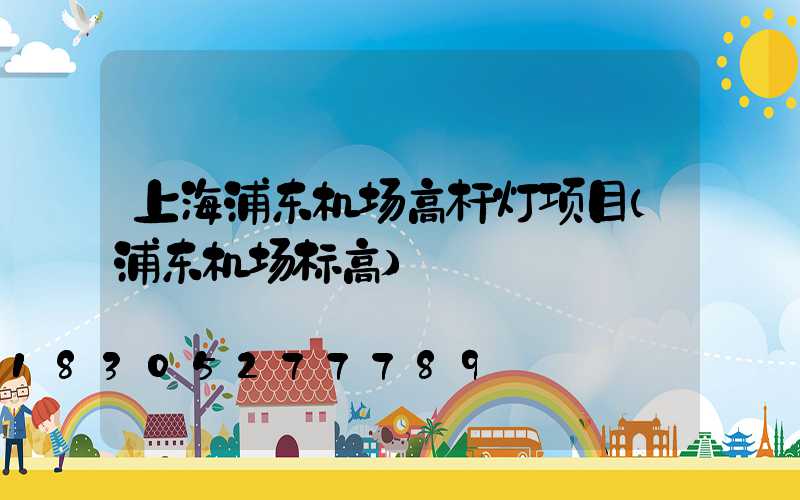 上海浦东机场高杆灯项目(浦东机场标高)