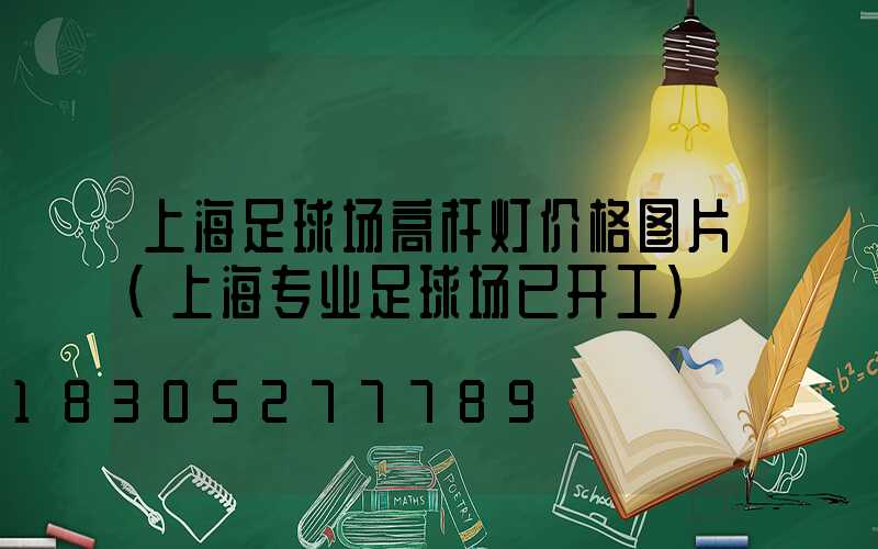 上海足球场高杆灯价格图片(上海专业足球场已开工)