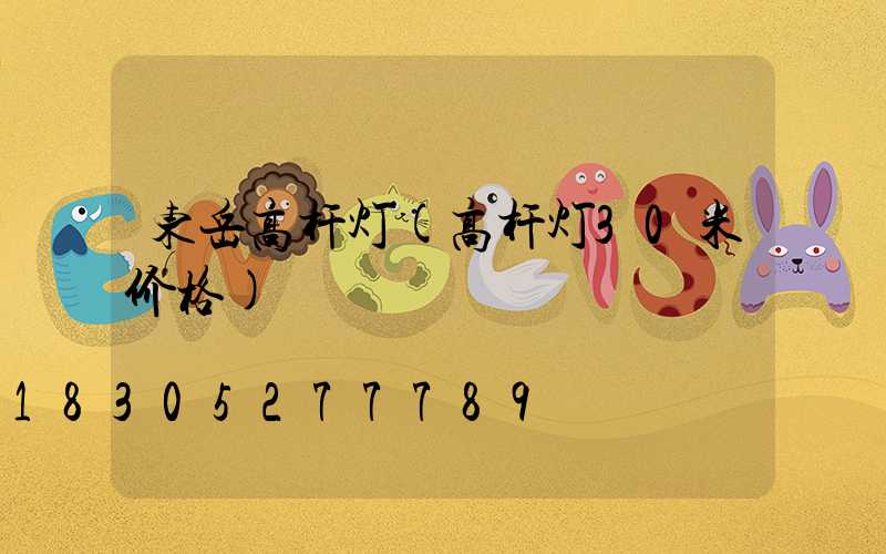 东岳高杆灯(高杆灯30米价格)