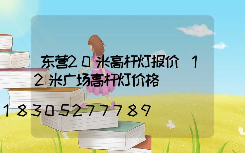 东营20米高杆灯报价(12米广场高杆灯价格)
