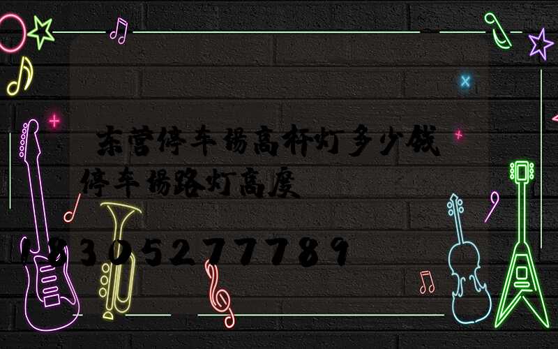 东营停车场高杆灯多少钱(停车场路灯高度)