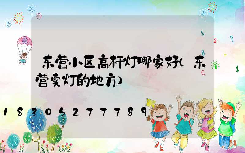 东营小区高杆灯哪家好(东营卖灯的地方)