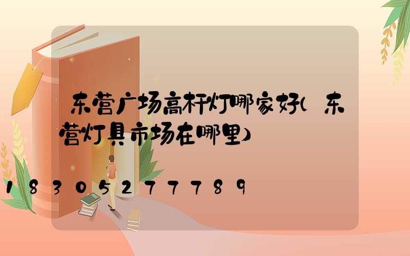 东营广场高杆灯哪家好(东营灯具市场在哪里)