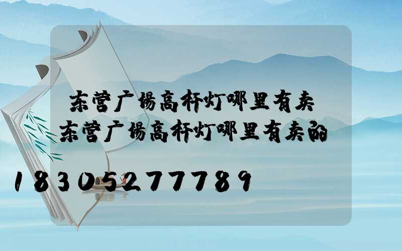东营广场高杆灯哪里有卖(东营广场高杆灯哪里有卖的)