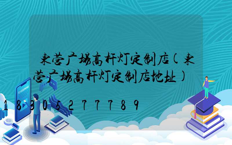 东营广场高杆灯定制店(东营广场高杆灯定制店地址)