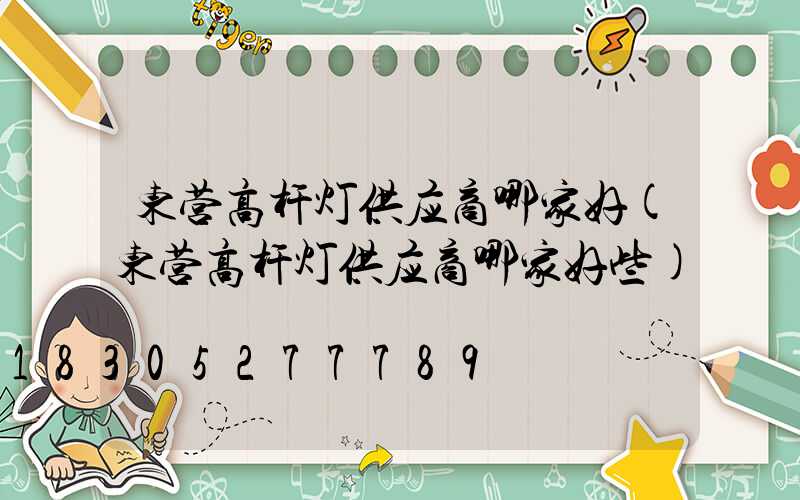 东营高杆灯供应商哪家好(东营高杆灯供应商哪家好些)