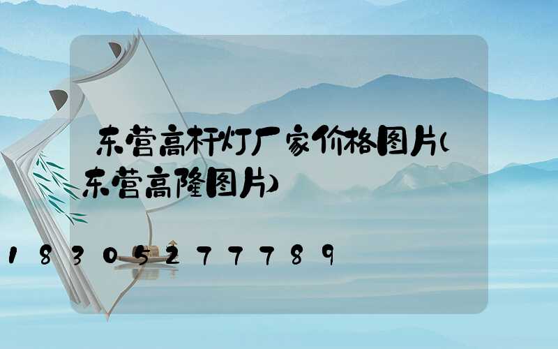 东营高杆灯厂家价格图片(东营高楼图片)