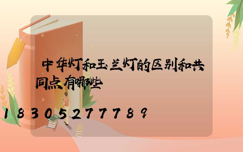 中华灯和玉兰灯的区别和共同点有哪些