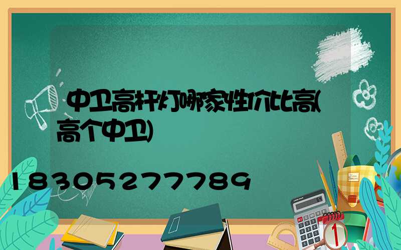 中卫高杆灯哪家性价比高(高个中卫)