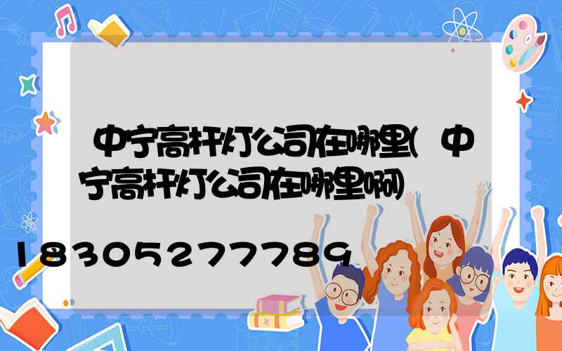 中宁高杆灯公司在哪里(中宁高杆灯公司在哪里啊)