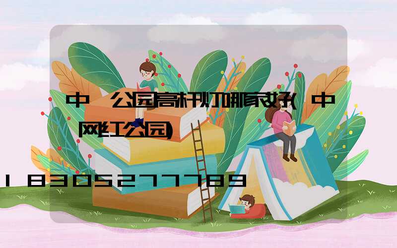 中牟公园高杆灯哪家好(中牟网红公园)