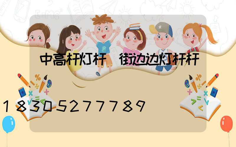 中高杆灯杆(街边边灯杆杆)