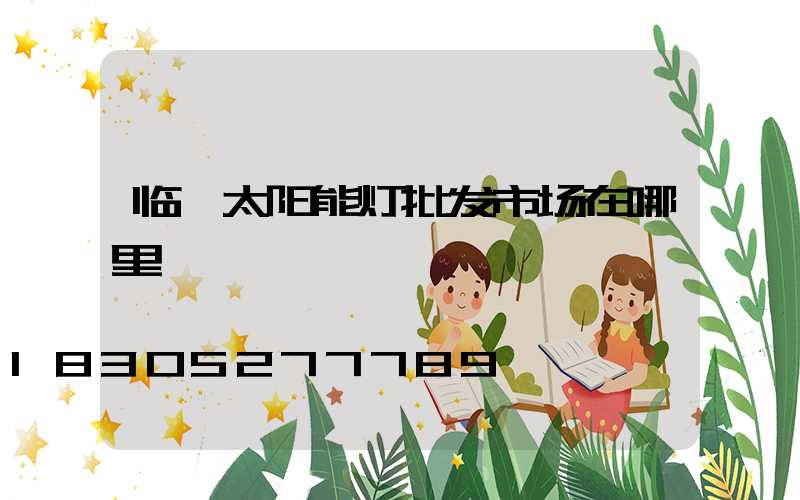 临沂太阳能灯批发市场在哪里