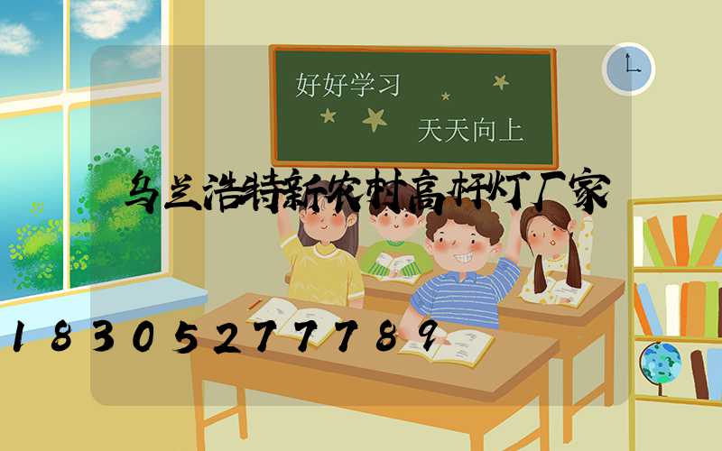 乌兰浩特新农村高杆灯厂家
