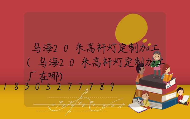 乌海20米高杆灯定制加工(乌海20米高杆灯定制加工厂在哪)