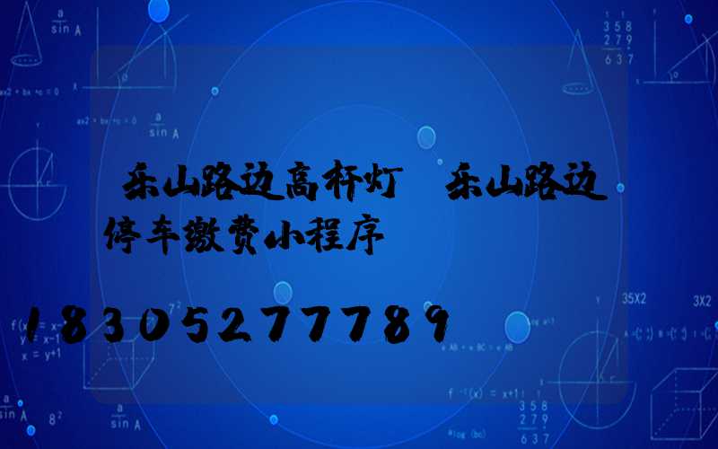 乐山路边高杆灯(乐山路边停车缴费小程序)