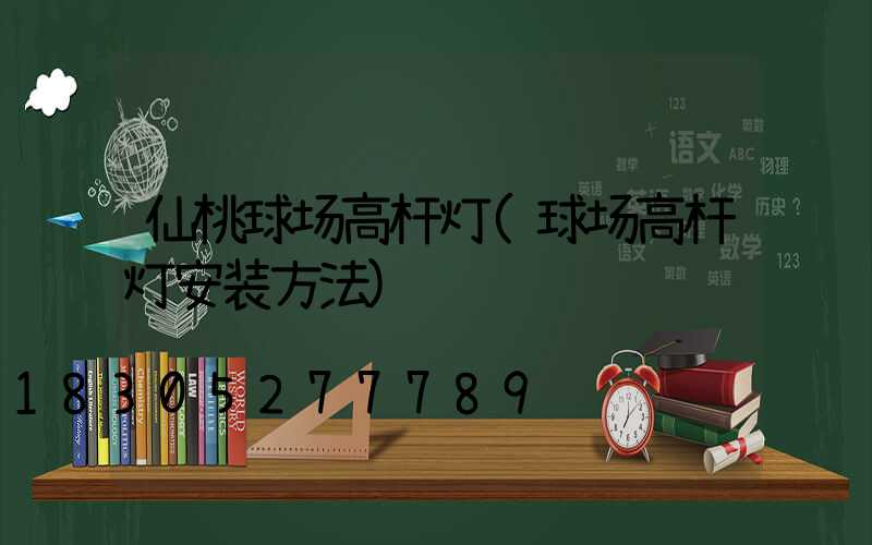 仙桃球场高杆灯(球场高杆灯安装方法)