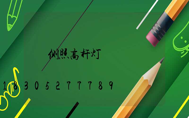 侧照高杆灯