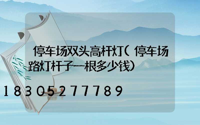 停车场双头高杆灯(停车场路灯杆子一根多少钱)
