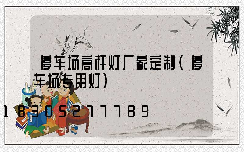 停车场高杆灯厂家定制(停车场专用灯)