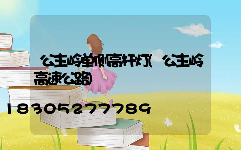 公主岭单侧高杆灯(公主岭高速公路)