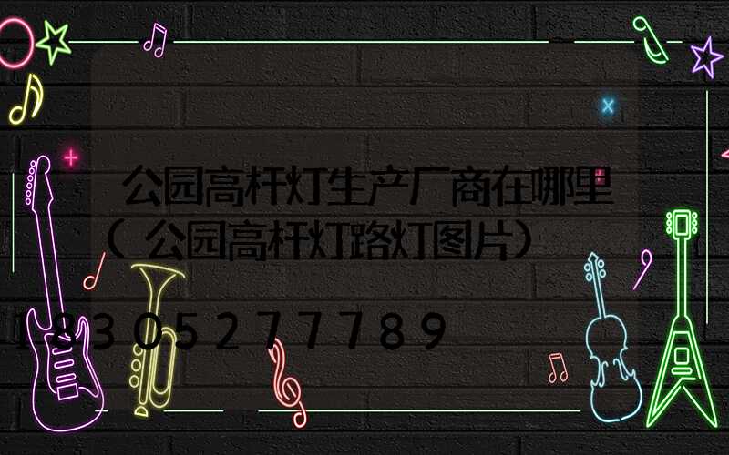 公园高杆灯生产厂商在哪里(公园高杆灯路灯图片)