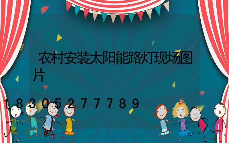 农村安装太阳能路灯现场图片