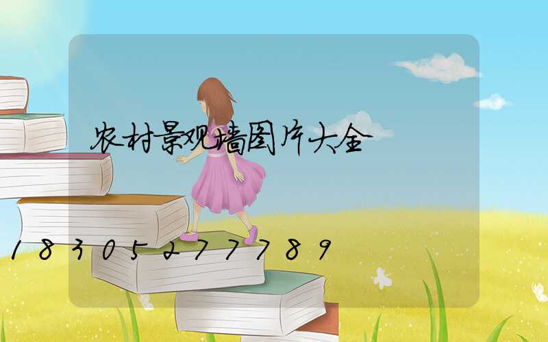 农村景观墙图片大全
