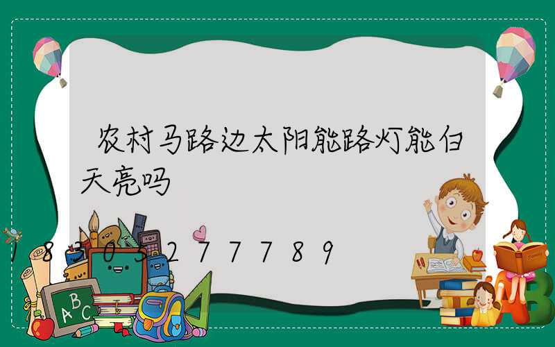 农村马路边太阳能路灯能白天亮吗