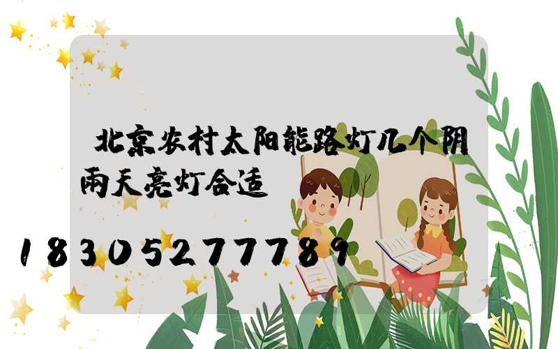 北京农村太阳能路灯几个阴雨天亮灯合适