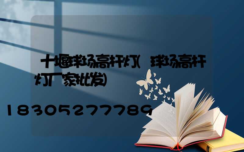 十堰球场高杆灯(球场高杆灯厂家批发)