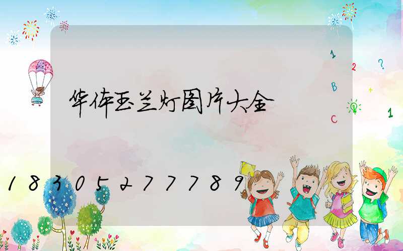 华体玉兰灯图片大全