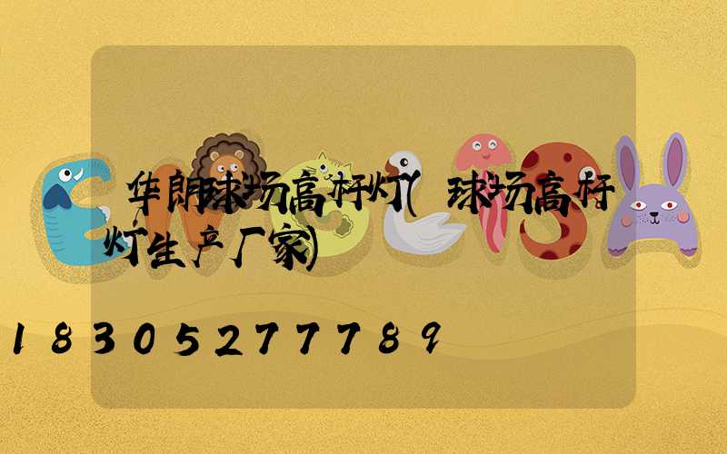 华朗球场高杆灯(球场高杆灯生产厂家)