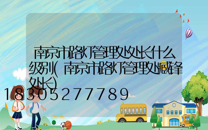 南京市路灯管理处处长什么级别(南京市路灯管理处臧锋处长)
