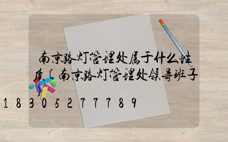 南京路灯管理处属于什么性质(南京路灯管理处领导班子)