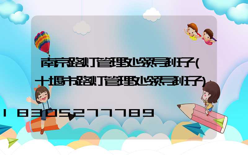 南京路灯管理处领导班子(十堰市路灯管理处领导班子)
