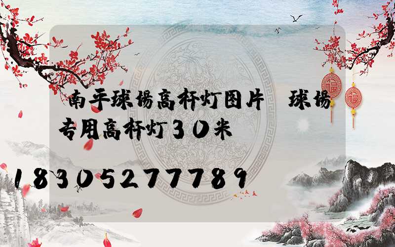 南平球场高杆灯图片(球场专用高杆灯30米)