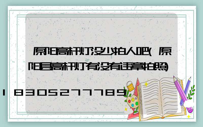 原阳高杆灯没少拍人吧(原阳县高杆灯有没有违章拍照)